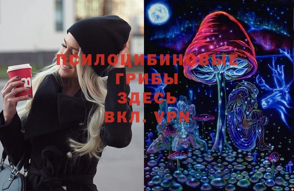 твердый Снежногорск
