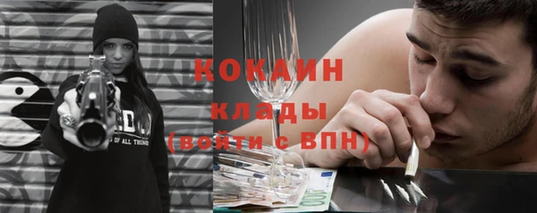 молекула духа Богородск
