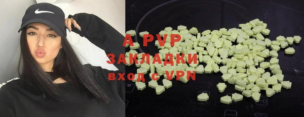 молекула духа Богородск