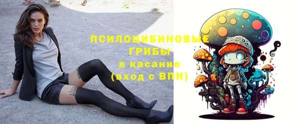 молекула духа Богородск
