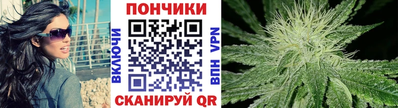 Канабис сатива  купить закладку  Котельнич 